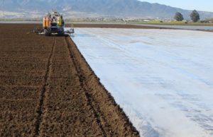 Le problematiche connesse all’impermeabilizzazione dei suoli