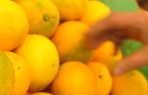 L’acqua si depura con le bucce degli agrumi