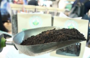 CIC, Rapporto Annuale Biowaste: nel 2015 raccolte 6 milioni di tonnellate di rifiuti organici