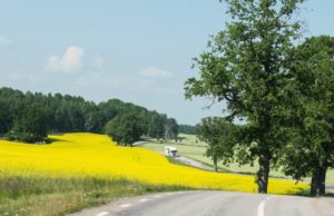 Scania: pronta a passare all’energia elettrica senza combustibili fossili