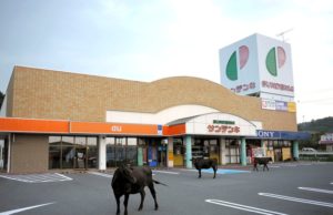 Tomioka, la città fantasma dove le radiazioni fermano anche il tempo