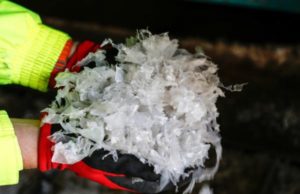 YS Reclamation si affida a Vecoplan per il riciclaggio delle pellicole in LDPE Materie-plastiche