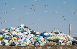 Il progetto del governo: Piano per la Terra dei fuochi, cosa prevede il documento