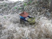 Controlli sui rifiuti extra UE: focus plastica, MASE e ADM verso un protocollo d’intesa