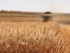 Fertiliser Action Plan: le misure UE per fertilizzanti più sostenibili