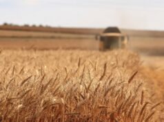 Fertiliser Action Plan: le misure UE per fertilizzanti più sostenibili