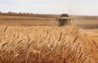 Fertiliser Action Plan: le misure UE per fertilizzanti più sostenibili