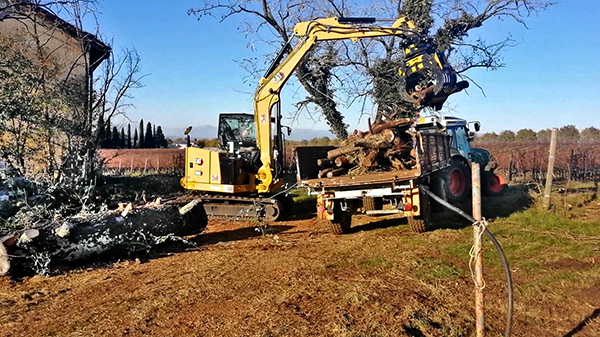 556_Foto 2_MB-G600 - Caterpillar 306 - Italy - Manteinance - Trunks mb-crusher