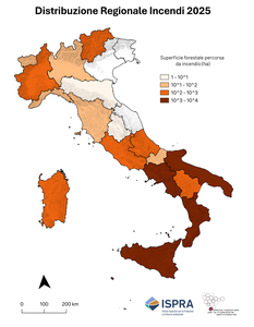 Distribuzione della superficie percorsa da incendio nell’anno 2025 per le regioni italiane (in ettari - ha), fonte dati EFFIS (dati aggiornati al 16/02/2026). Elaborazione Ispra