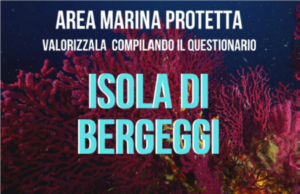 Aree Marine Protette, pesci, coralli, mare pulito. Quale valore dai al mare?