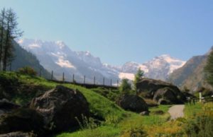 La tutela dell’ambiente entra in Costituzione