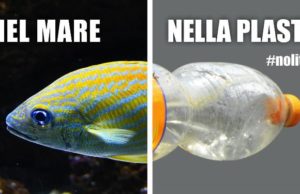 FISE Assoambiente lancia la campagna social #NoLittering, per un’estate…più pulita