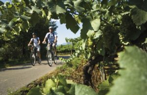Il Trentino protagonista a Forum Bikeconomy