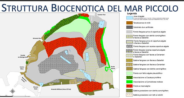 Bonifica e monitoraggio area di Taranto Mar Piccolo