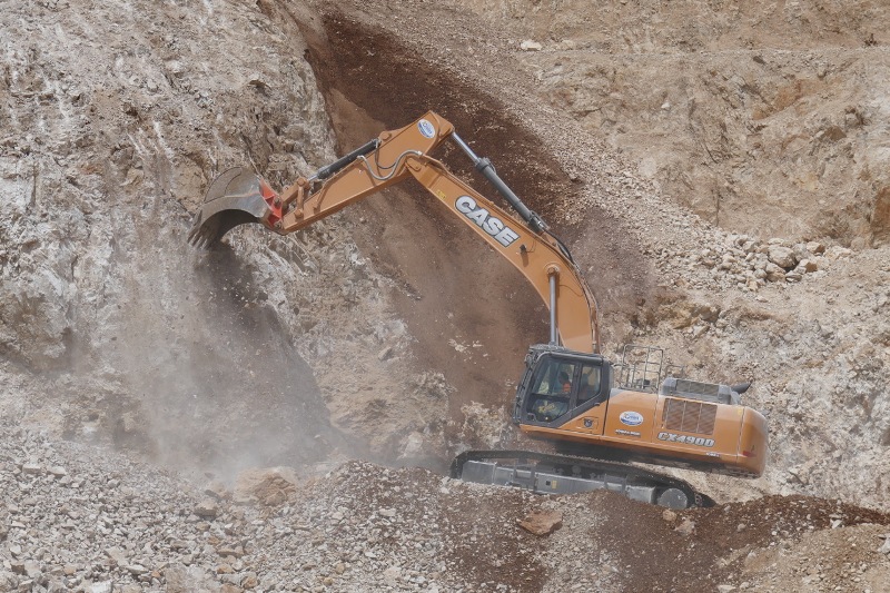 Pugno Di Ferro In Guanti Di Velluto