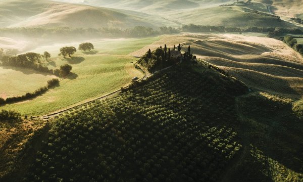 CDP_italy_report