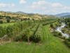 Bonifiche e Paesaggio: l’approccio CESI Bonifiche e Paesaggio