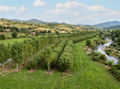 Bonifiche e Paesaggio: l’approccio CESI Bonifiche e Paesaggio