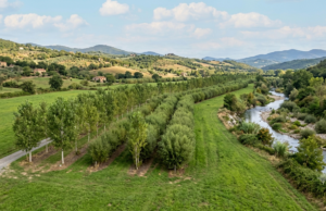 Bonifiche e Paesaggio: l’approccio CESI Bonifiche e Paesaggio