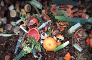 Ecomondo: con il CIC protagonisti il biometano e il settore del biowaste