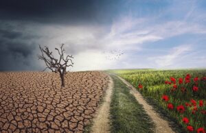 Clima che cambia: come reggere l’impatto Clima-che-cambia-master-adapt-cover