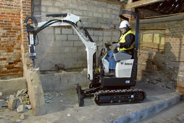 E10_bobcat
