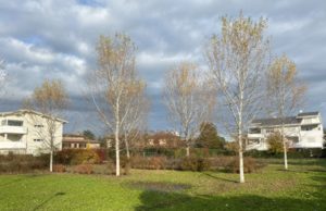 Ecovillaggio Montale: Il primo ecoquartiere nZEB che resiste ai nubifragi