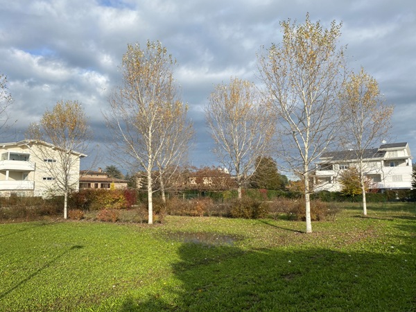 Ecovillaggio Montale dopo la “bomba d’acqua” e il suo assorbimento nella falda sotterranea