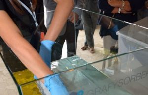 Directa Plus per l’ambiente