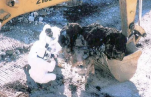 Discariche e veleni, Spezia vuole la verità. In arrivo due commissioni per indagare