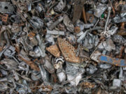 RAEE: Ecolamp raccoglie quasi 3000 tonnellate nel 2025 RAEE Ecolamp