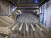 Ecolamp primo semestre 2025: raccolte oltre 1.500 tonnellate di RAEE Ecolamp RAEE