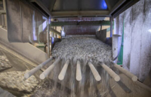 Ecolamp primo semestre 2025: raccolte oltre 1.500 tonnellate di RAEE Ecolamp RAEE