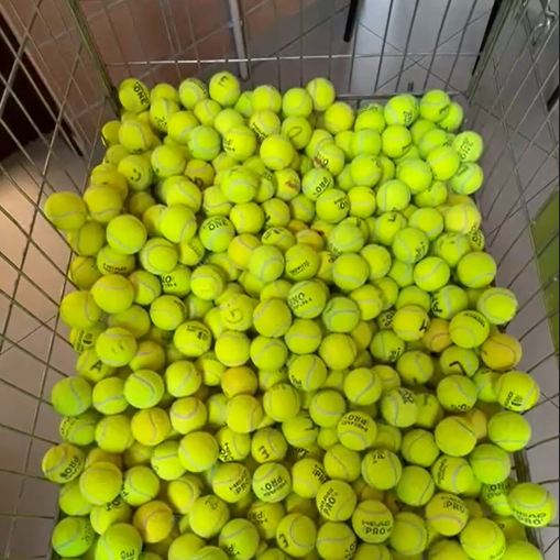 Immagine 2025-05-22 125846 gpadel