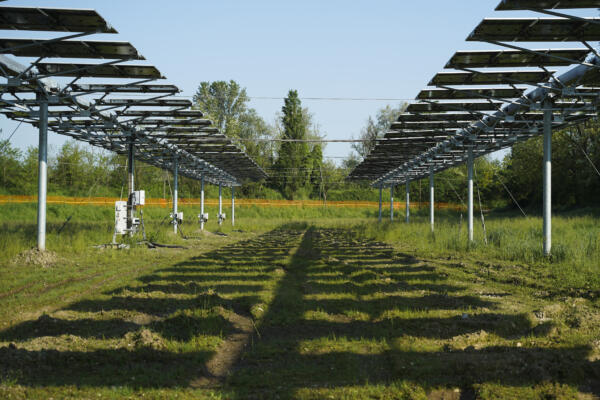 Impianto agrivoltaico CAP Evolution - Robecco sul Naviglio
