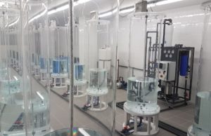 Incentivi per la produzione di biocarburanti dalle microalghe