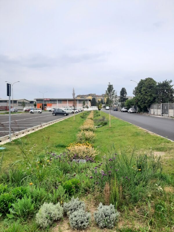 Infrastruttura verde a Pieve - Piazza Allende