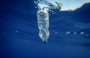 Nanoparticelle in ambiente marino: l’immenso pericolo dell’infinitamente piccolo