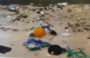 L’atollo disabitato e le sue 18 tonnellate di rifiuti di plastica
