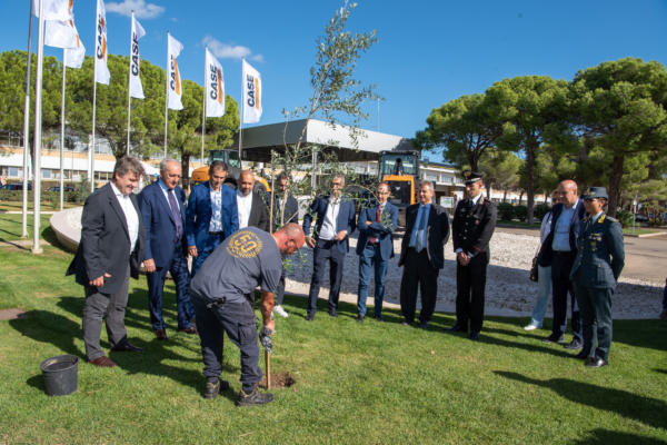 CASE Lecce messa a dimora ulivo