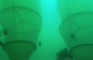 Il viaggio delle microplastiche nel Golfo di Napoli