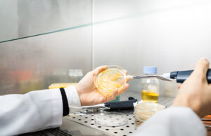 Batteri mangia-plastica per riciclare i rifiuti organici batteri-mangia-plastica