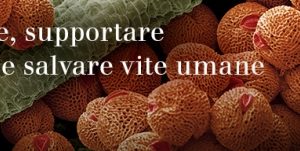 Dräger e il mondo della protezione respiratoria