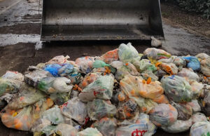 Triplica la bioplastica nella raccolta dell’organico, ma il non compostabile va ancora ridotto: Studio CIC – Corepla 2020 Rifiuto organico