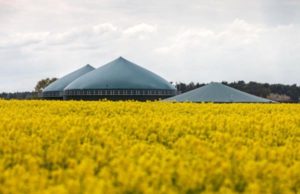 Eurovix: biotecnologie applicate all’ambiente EUROVIX
