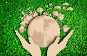Economia sostenibile: il ministero dell’Ambiente si affida a un team di esperti