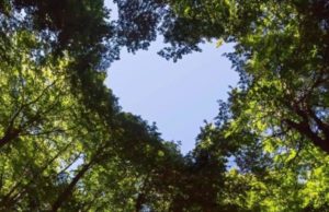 L’Onda Verde del 2023: una rivoluzione nella sostenibilità globale TUVItalia_Sostenibilità