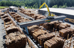 Segare il legno significa produrre trucioli vecoplan