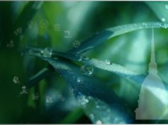 Il progetto BioEnPro4To torino-rinnovabili