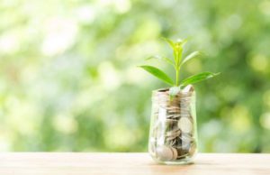ISPRA contro il greenwashing ecologia-ambiente